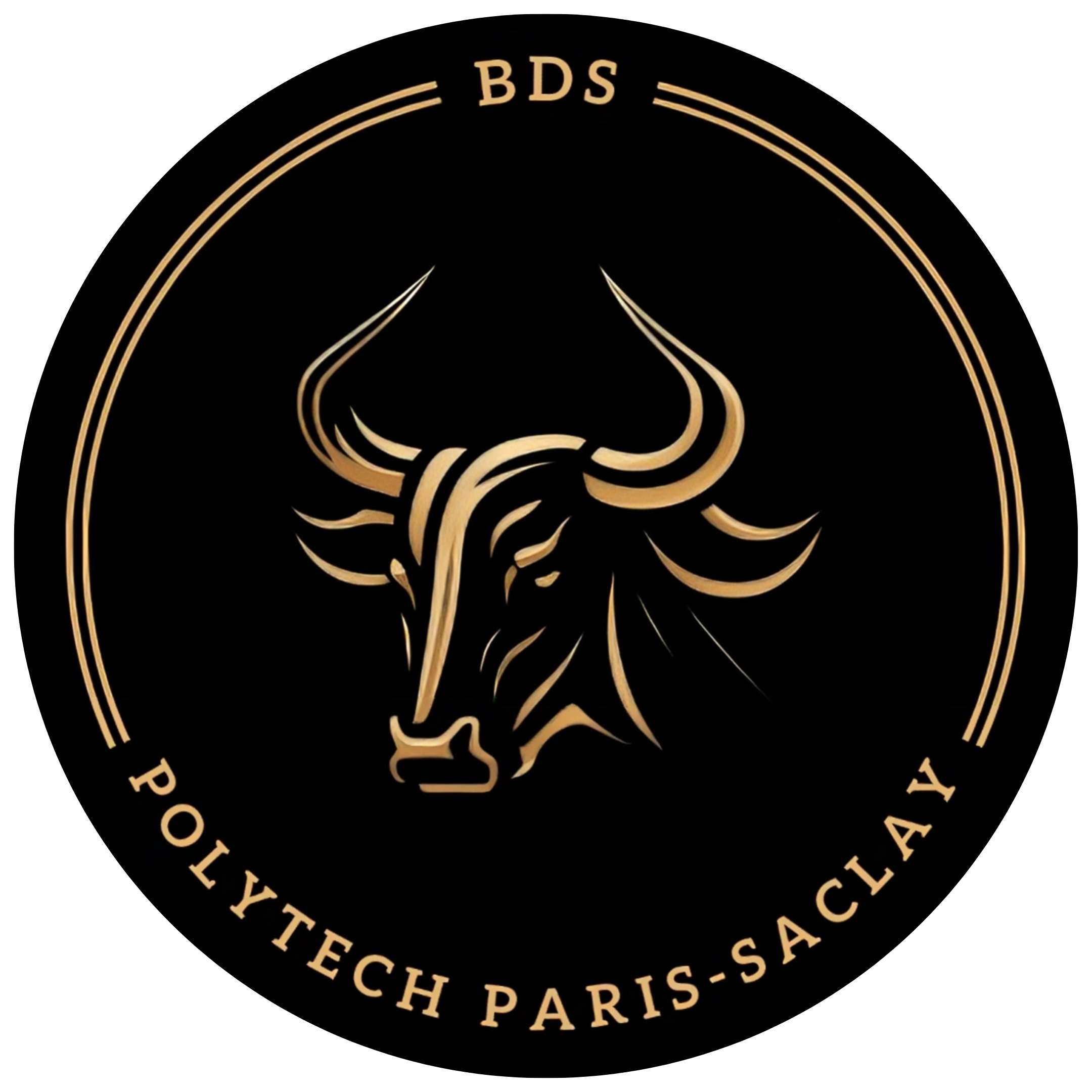 logo-bds-grand.png